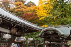 Nigatsudo Hall and Autumn Colours, Nara Park