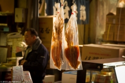 Squid Hanging, Tsukiji Fish Market