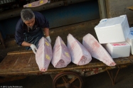 Tuna ready to be shipped, Tsukiji Fish Market