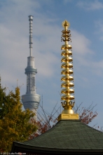 Asakusa Shrine and the Tokyo Sky Tree